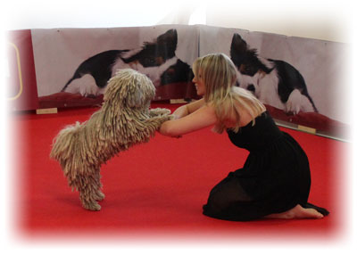 Benji Dogdance Puli